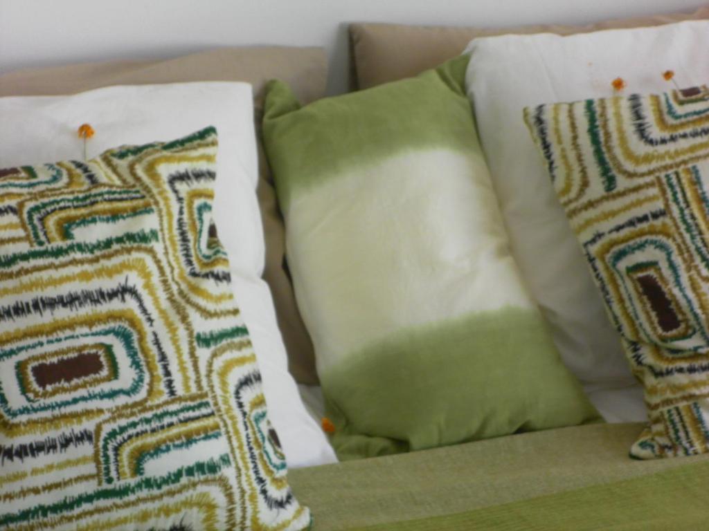 Lemon Tree Hostel อารีอา บรันกา ห้อง รูปภาพ